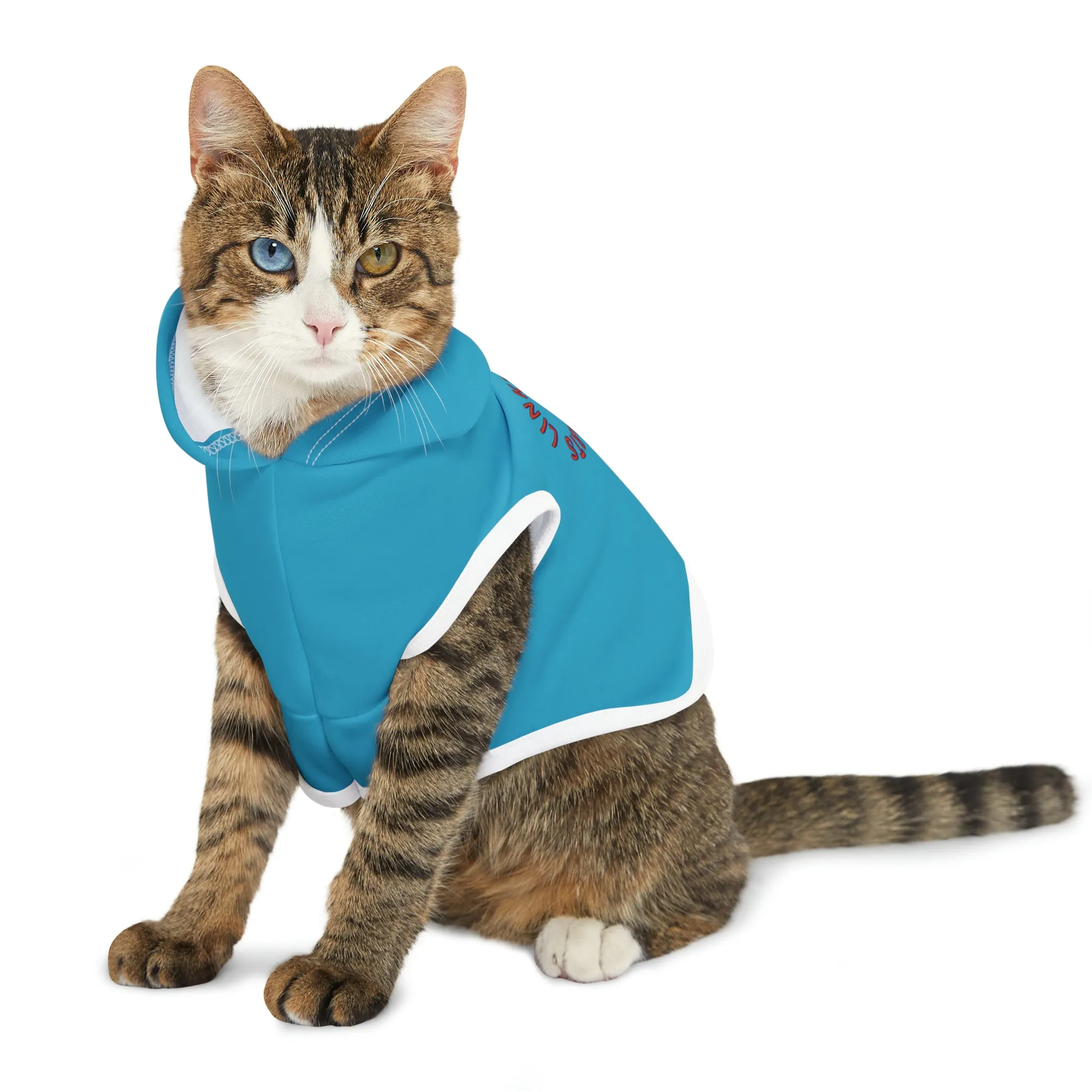 Link's Martial Arts Logo Pet Hoodie