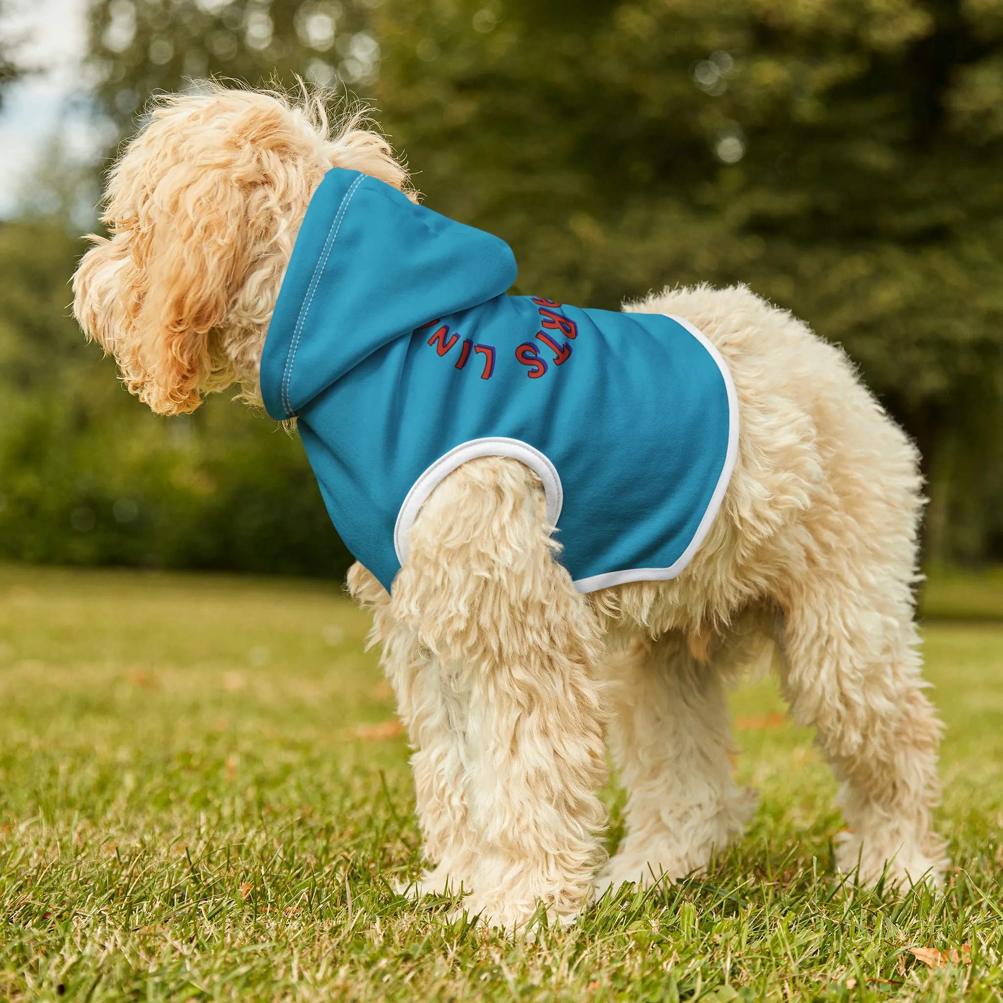 Link's Martial Arts Logo Pet Hoodie