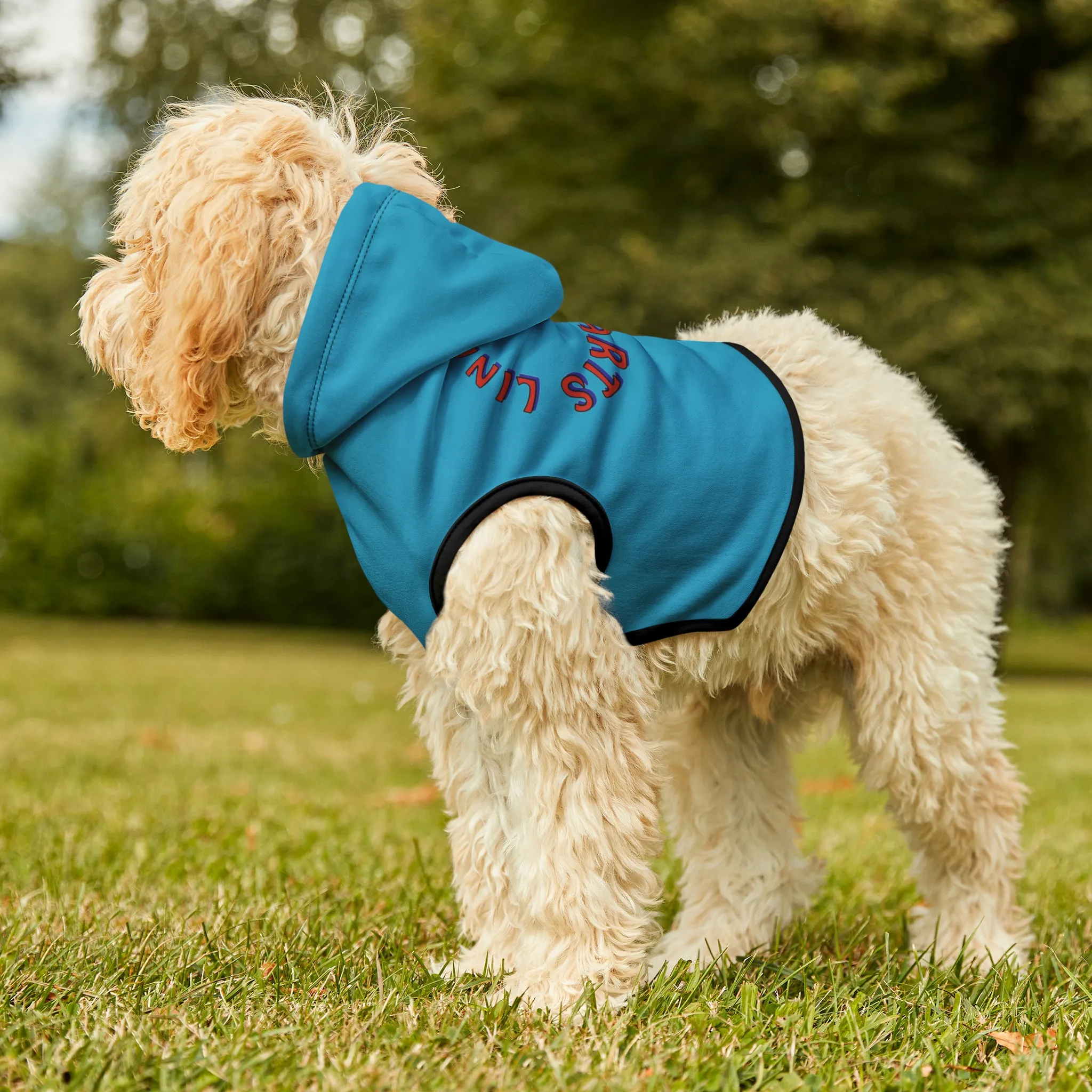 Link's Martial Arts Logo Pet Hoodie